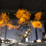 Ruisrock 2015 | Santa Cruz (253/280)
